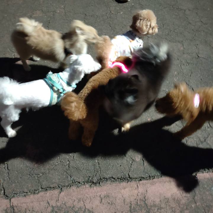 17fc0111 1547 45d8 b86e 2ec8af02f315 1729561173345