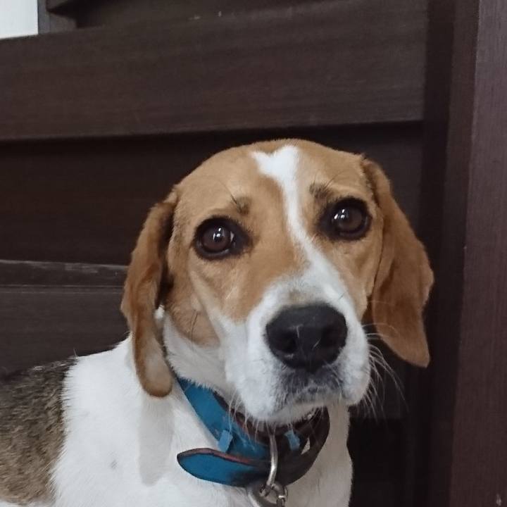 17fc0929 fd78 4e6b b1b8 fa34b2a160db 1568559385982