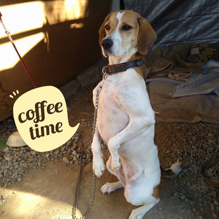 17fc5fbf a28f 4a01 9064 a0bc6c87d769 1633153042465