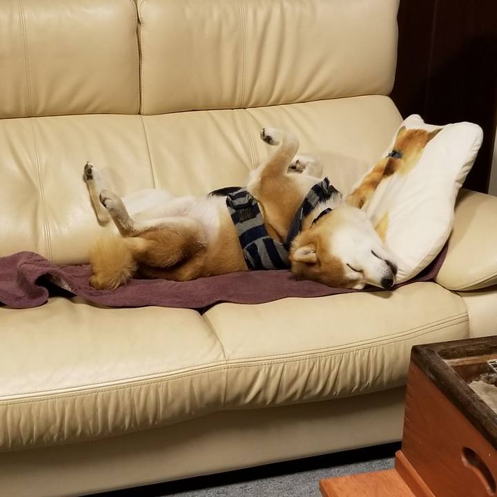 17fc74bd 9ea0 4500 b0e9 159e311a1121 1580473222836