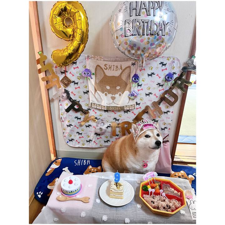 17fc83d7 06bf 4d9f 9337 8d7b002ebcd2 1699658822218