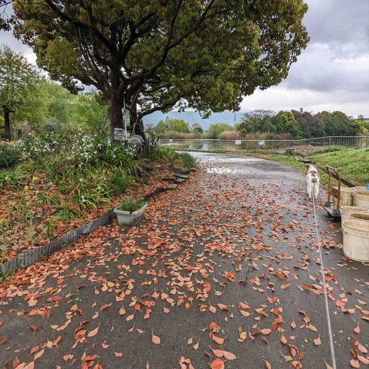 17fc8f78 2953 4fab a8ce 16a37b67dbc5 1680919123176