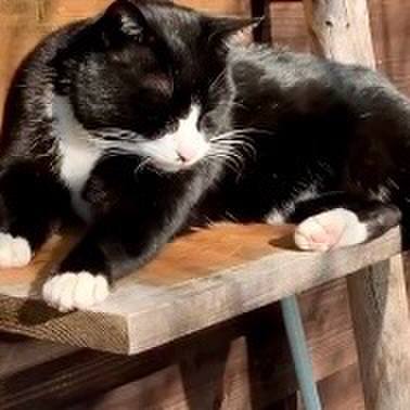 17fca1d6 8412 4eb3 b9b9 a329665fad13 1737426170608