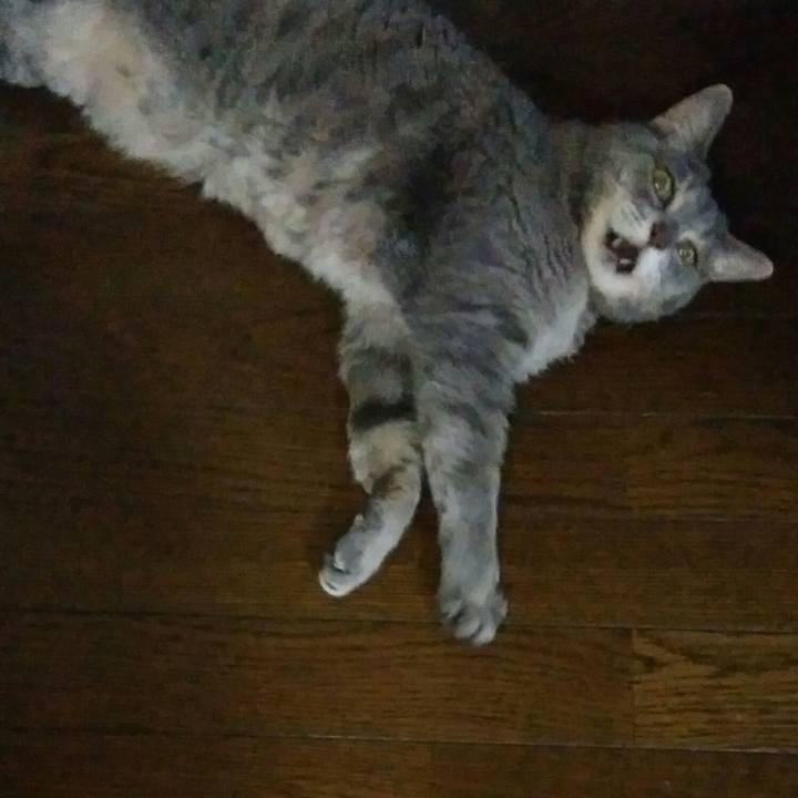 17fcb77e bf0c 4efc beec 37bed63f2955 1597442146712