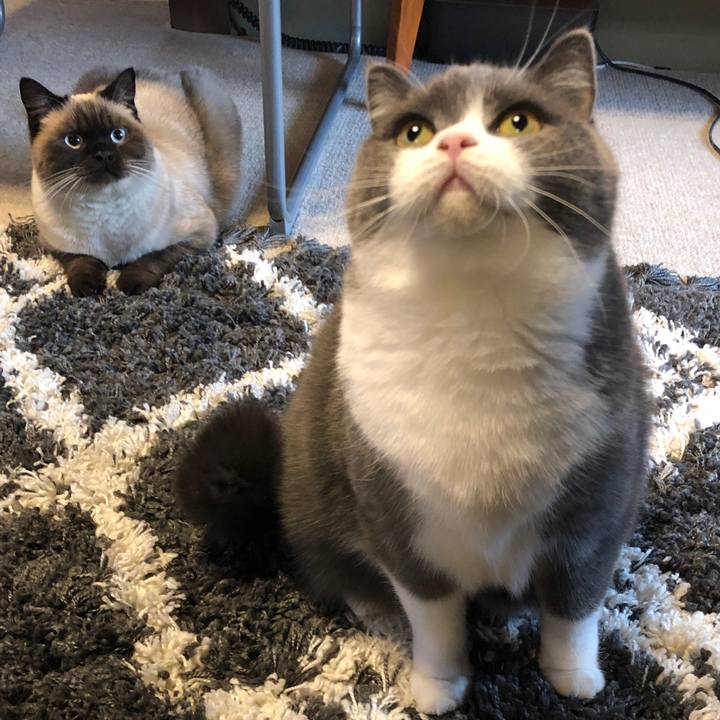 17fcd641 3cbe 4da9 abc8 8f8fc8518086 1606709122937