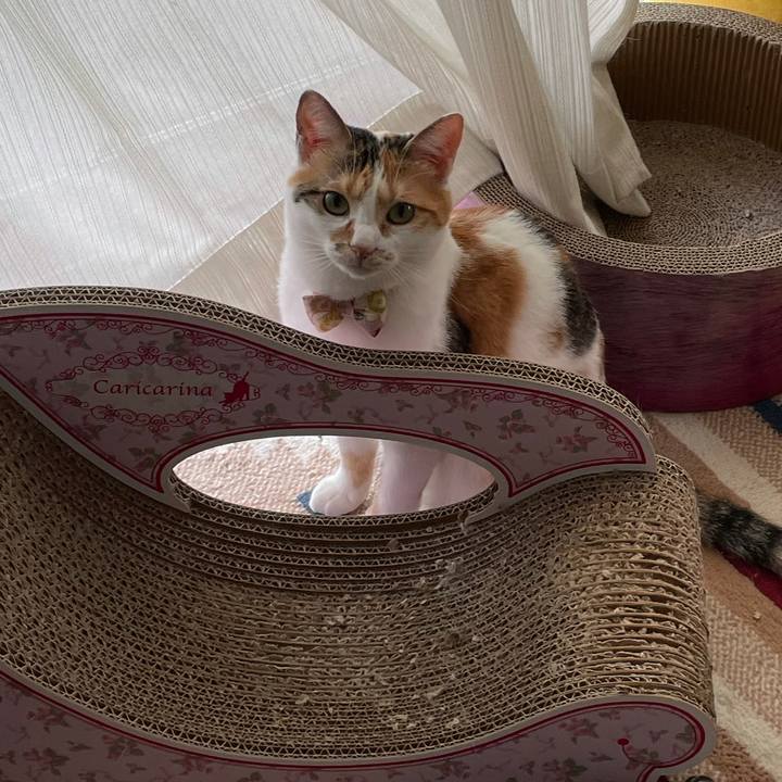 17fd1dc6 4b55 4673 9d56 b840e72481f1 1629343696108