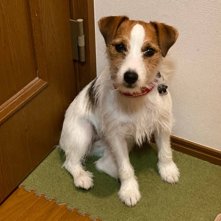 17fd65a4 2691 4903 bb32 8f1ece2d36e1 1649680763936