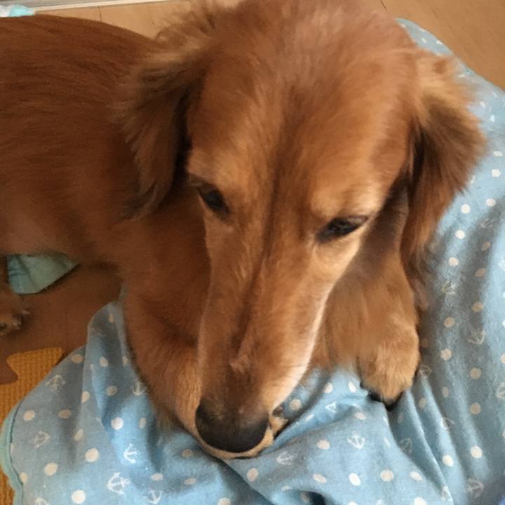 17fd738c f3e7 4792 ba7a 12e6c867b06c 1597662782412