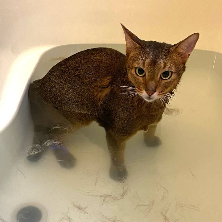 17fd9559 60e7 4412 b98d 09bc4130c639 1764063666530