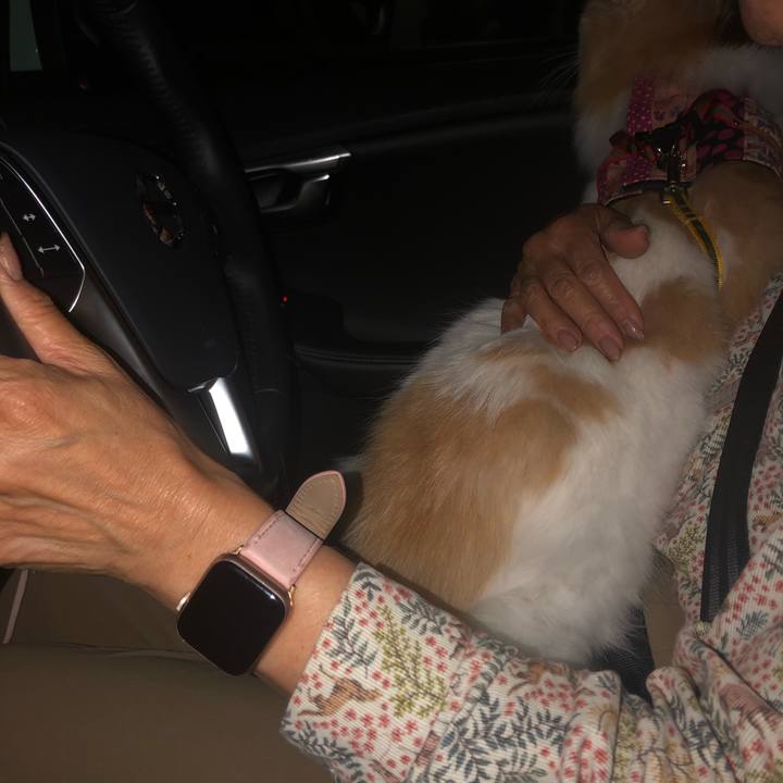 17fd9f68 f8ac 45e5 9eb4 ccfd4b0a1fed 1686309017560