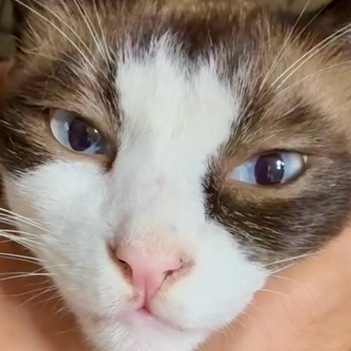 17fdd971 1f81 4994 9005 deba17b1562c 1754791416422