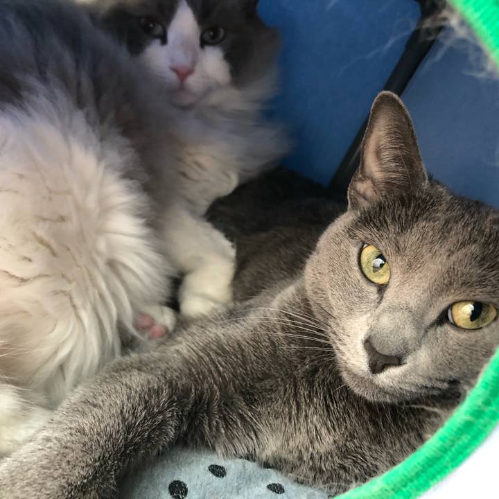 17fdf17f 46f0 4df0 bfb8 0839f190f131 1587080945633