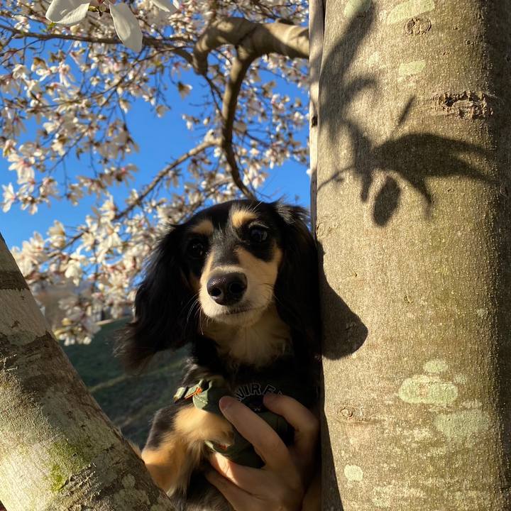 17fdf495 4ca0 42a2 808e b029785c2d2b 1679268890067