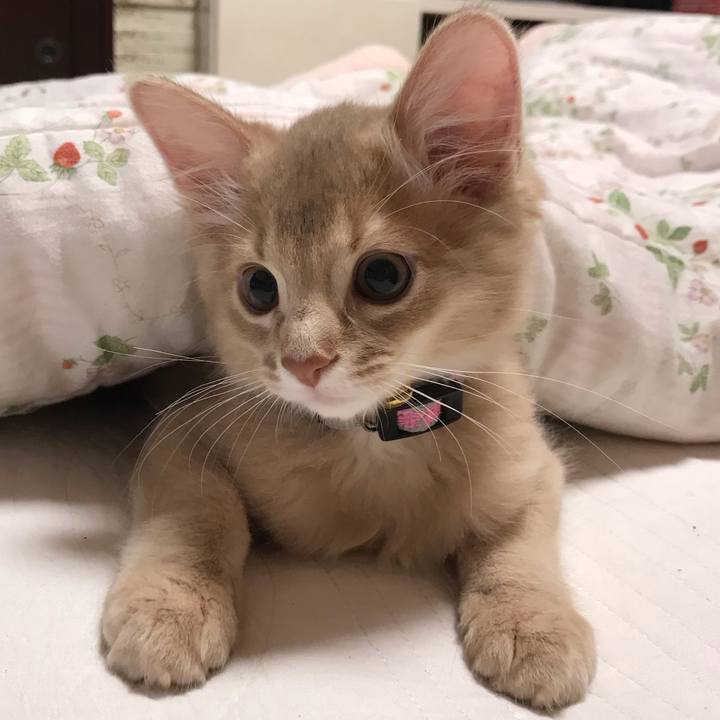 17fe0bbb 7c16 48c4 bb17 a974dcc3e4bb 1541343054796