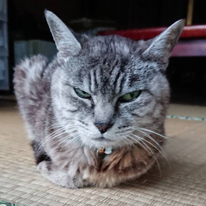 17fe2393 fc08 4b94 af49 6f9e534da7ab 1567501744106