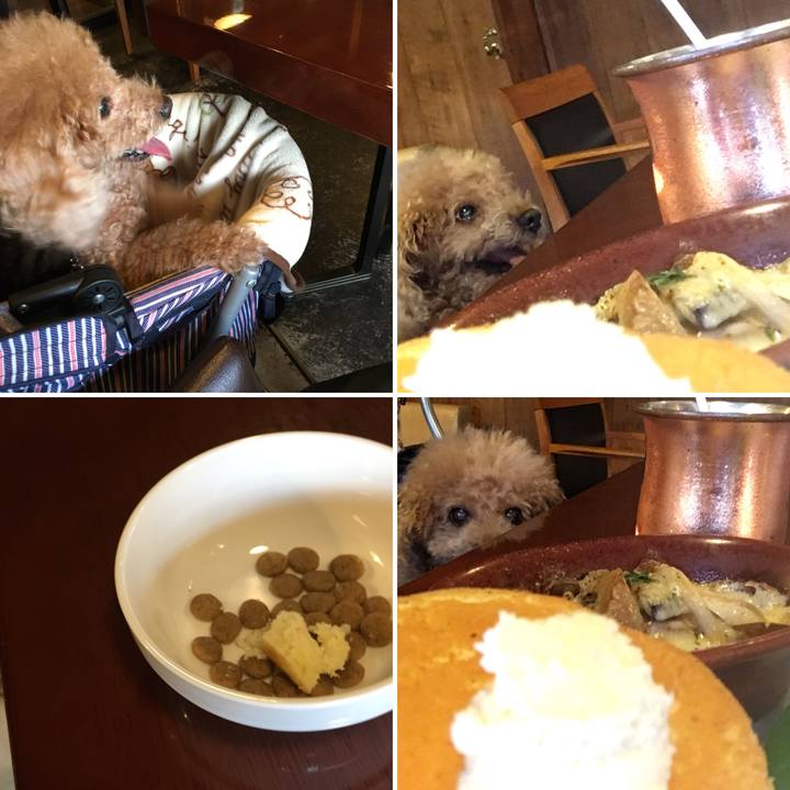 17fe256e 1f6d 42b3 917f 0fa3ada99f83 1509155125607