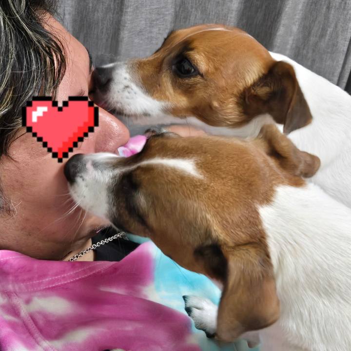 17fe3724 5fc0 4072 9a63 3e6ce7cd531c 1761470424553