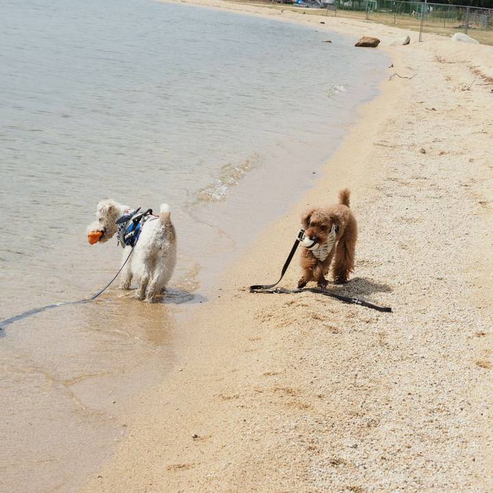 17fe500f 8dff 4582 ba77 cef96df46342 1522561249754