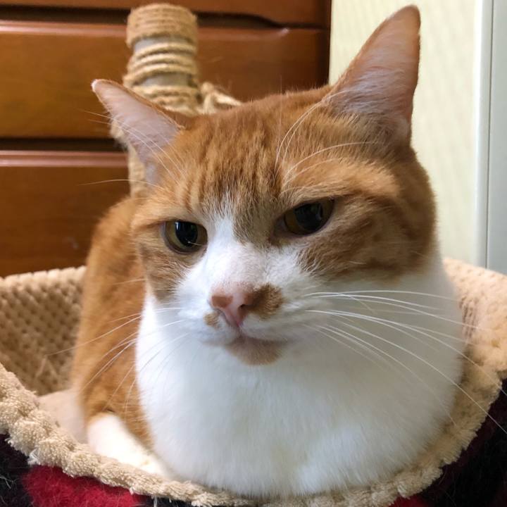 17fea279 0452 4659 9450 c62ee240406f 1603090929829