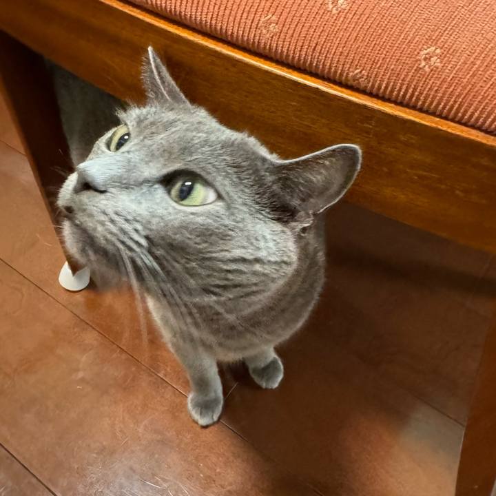 17feb6e7 3037 4aa0 94a6 c99825bca4d3 1759059147578