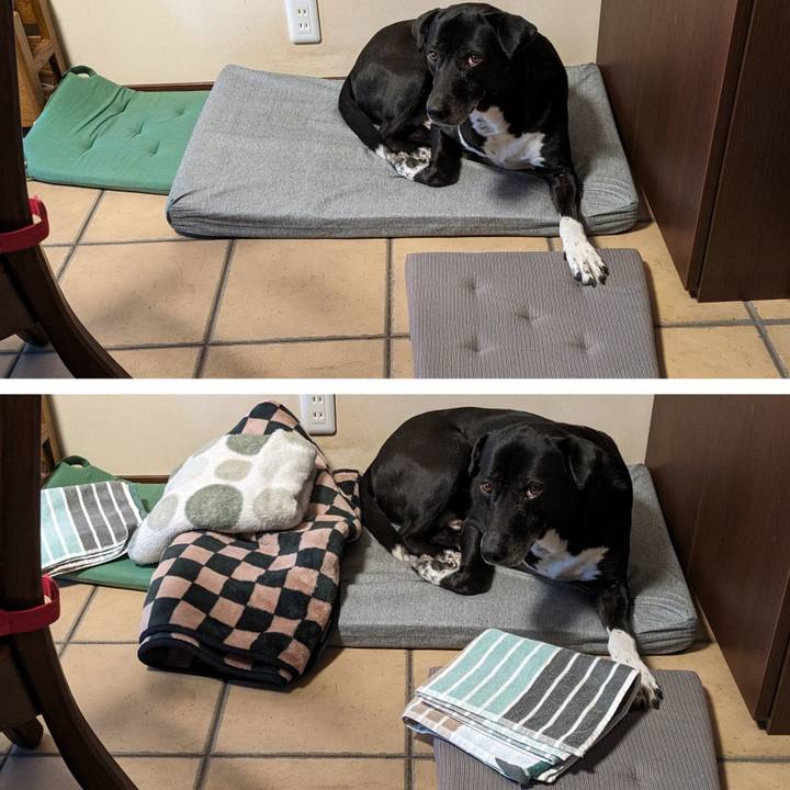 17ff4cce 0b8c 4be7 906a 7824c1d2cd2d 1710672612542