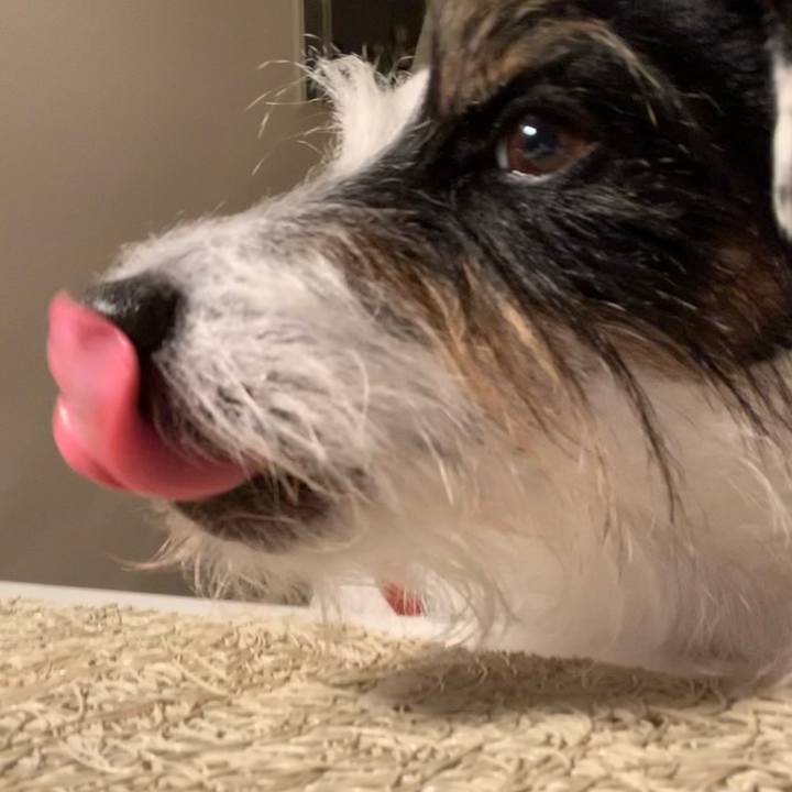 17ff8ef4 b05b 4df9 893d 52418b254c5f 1640857357648