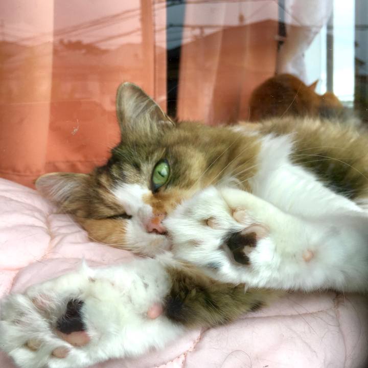 17ff96b3 d5dc 4b40 83b8 d14d25396ade 1592644048669