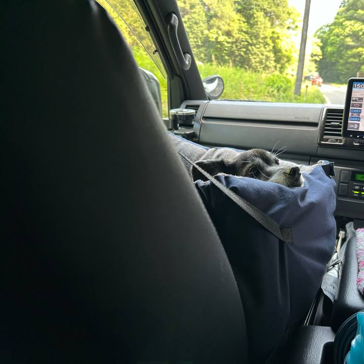 18003024 2697 4698 918e 8aeda11f35d2 1715074380742