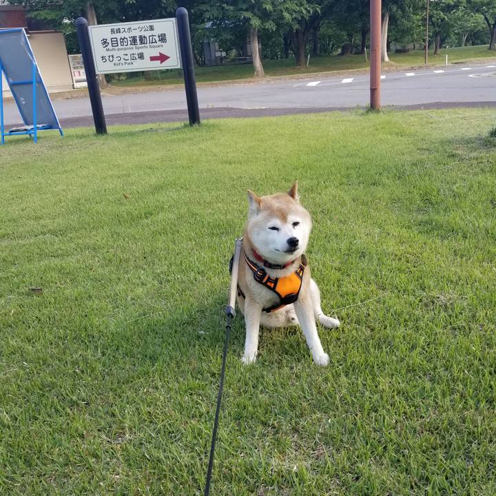 18004584 52b0 494d ba1b 48780f36c11b 1716620355551