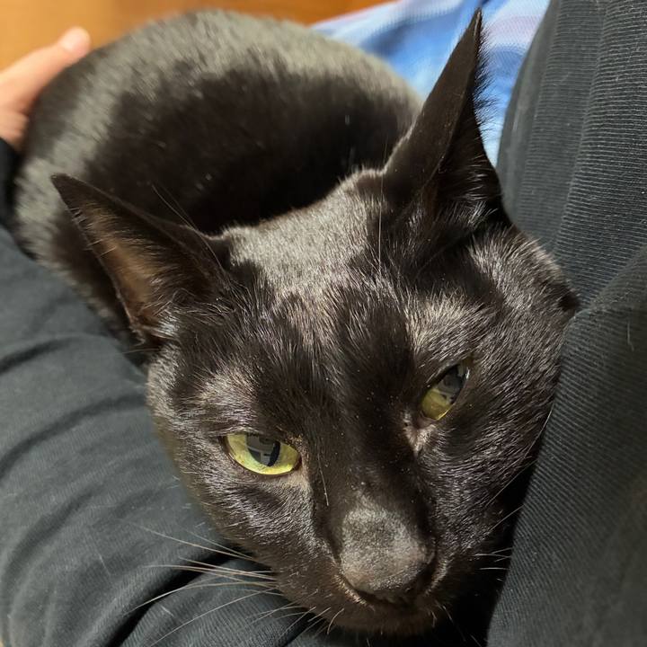 1800507c d022 4b5a 9249 a063e0c21629 1767008959317