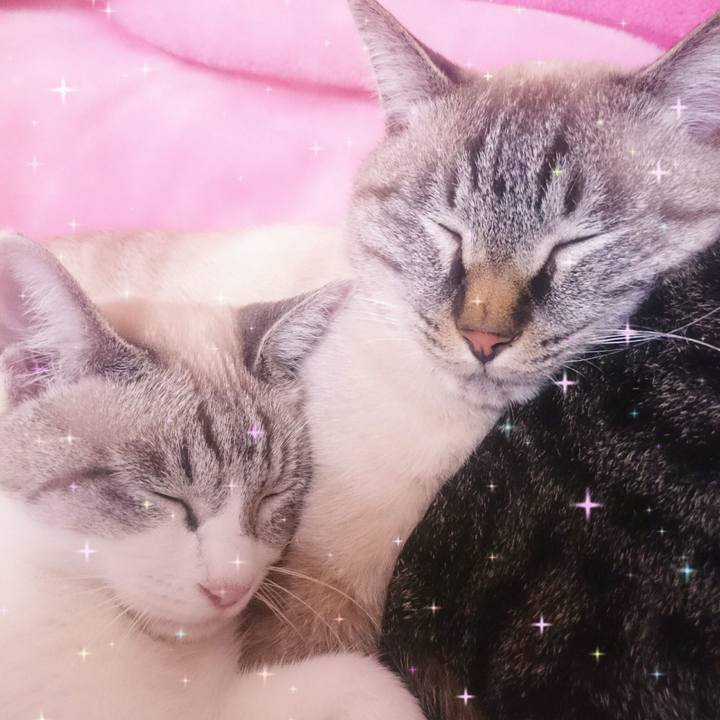 1800705c 05ea 446d 95a4 05301b003765 1509506540372