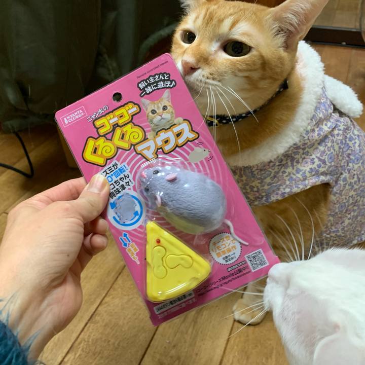 18009fa1 2597 4bca 95f3 dcb2f62c20d9 1581075022074