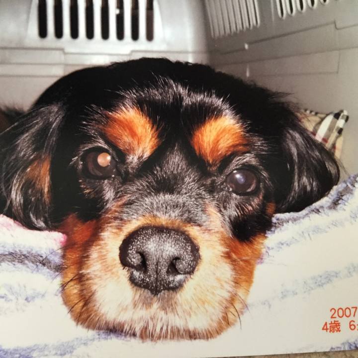 1800b87c be8d 4a1e 8138 30f94f2888d6 1526283339945