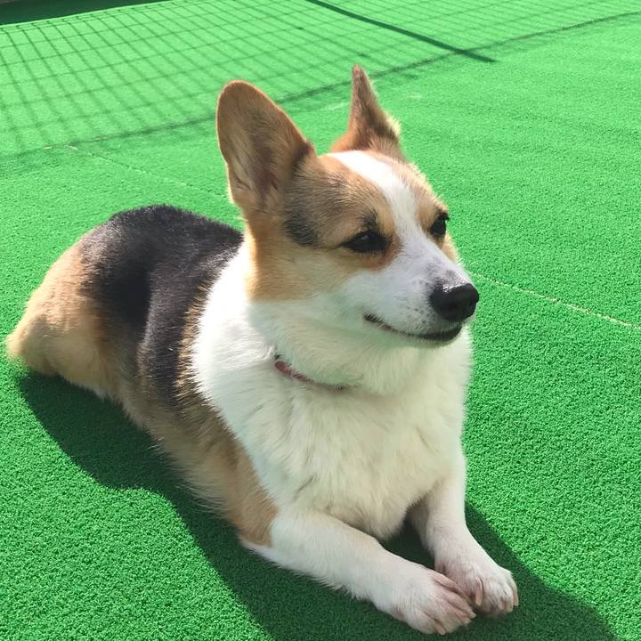 1800c0a0 0321 49a4 82ae 322219c74e39 1547870911652