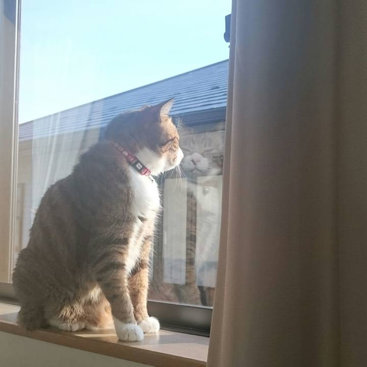 1801265f de17 42ea 84e0 74eb2d81c556 1546701197498