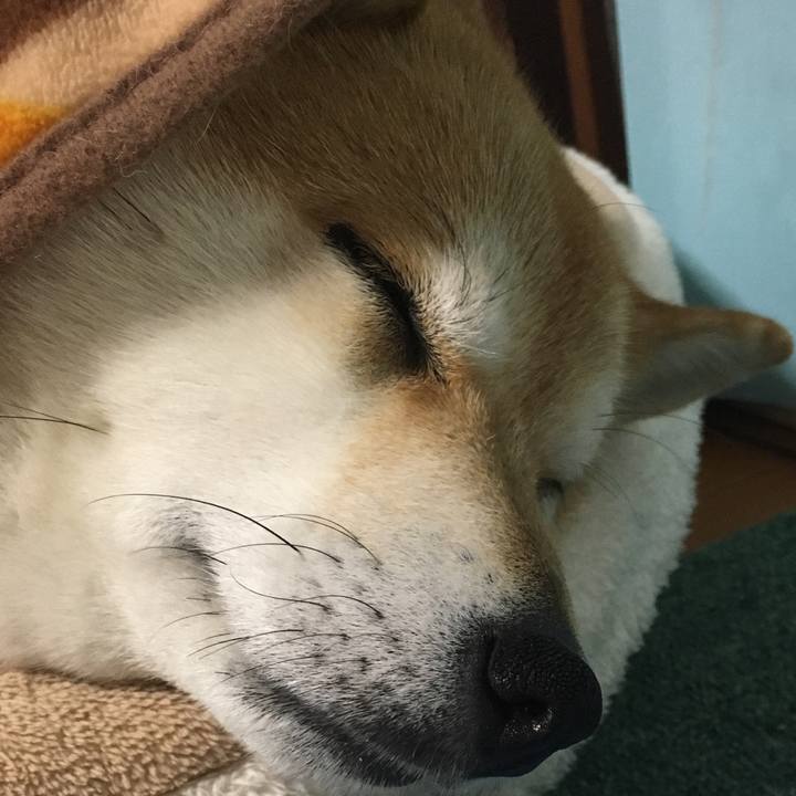 18013b70 8c09 4bd4 92b6 66100cde93d3 1584447583956