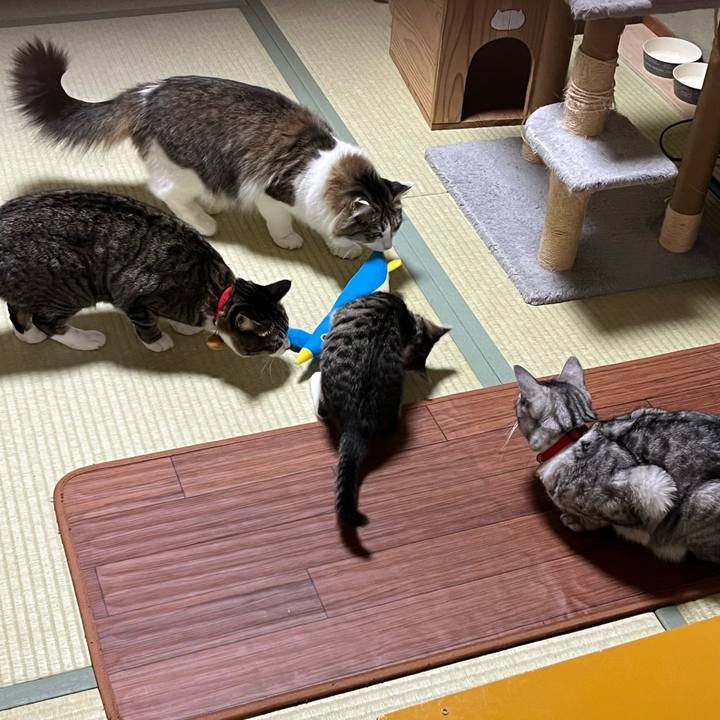 1801a780 b963 420a 8a79 f990e7589cc8 1767736720974