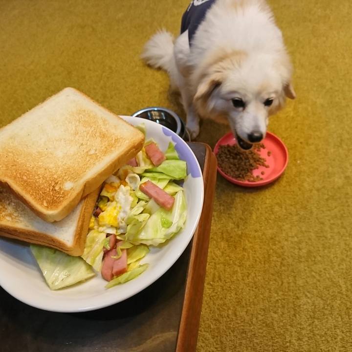 1801b4b0 1c1b 4361 b5c5 5bf356e034fd 1549402229836