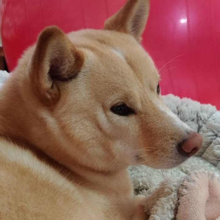 1801be69 67cb 448d a72b 396013a527f1 1583191842859