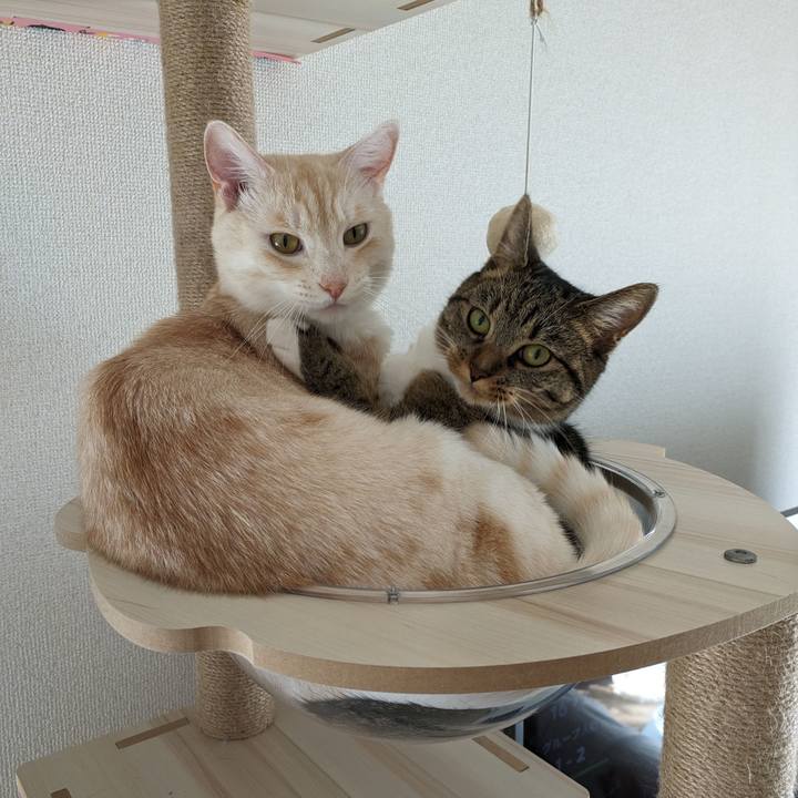 1801f36e cfd3 4d23 8cbe 76c92d73c8bf 1693618304491