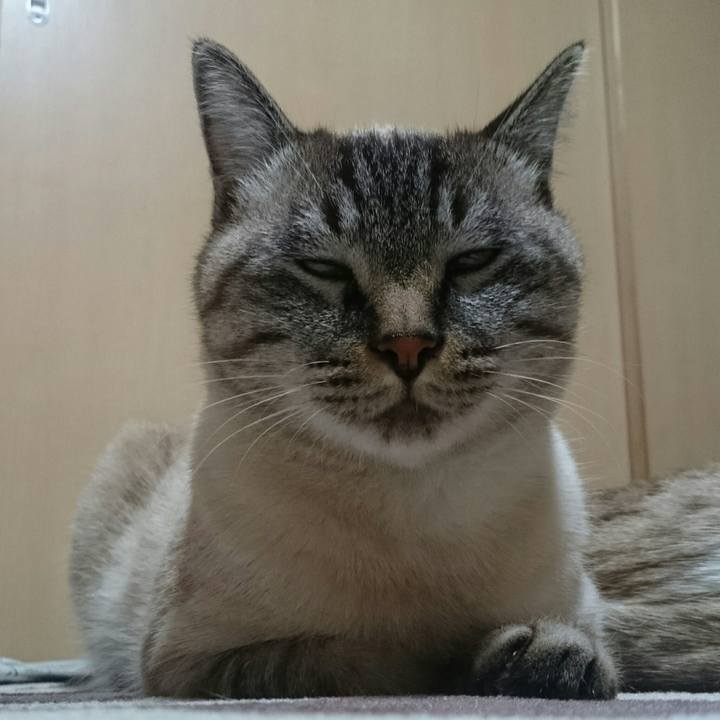 1801f42e 8c25 4197 93ca be9c85db86e6 1511004259460