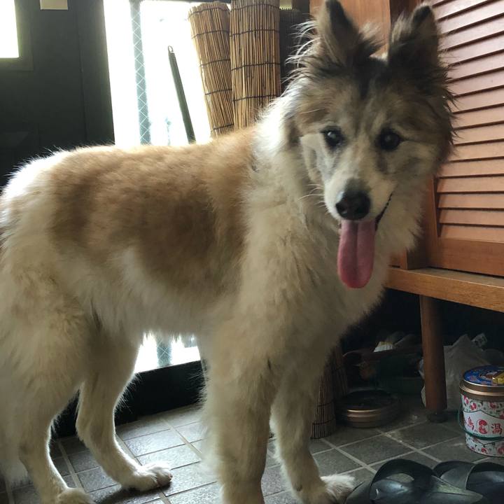 1802044e d055 457d a9d3 6cc67611d940 1532301646117