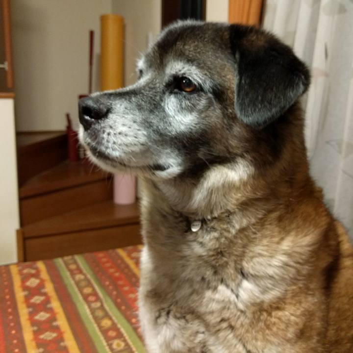 18022025 7eca 47c2 bf8a 028887cbc4ce 1527947645231