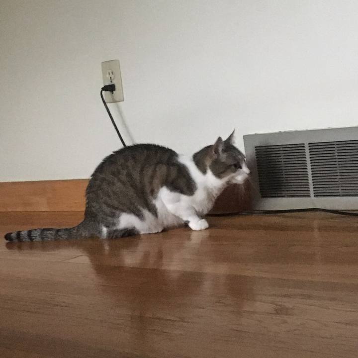 18022f50 bebb 4725 8d19 6bbc3d4b6ee5 1633651443105