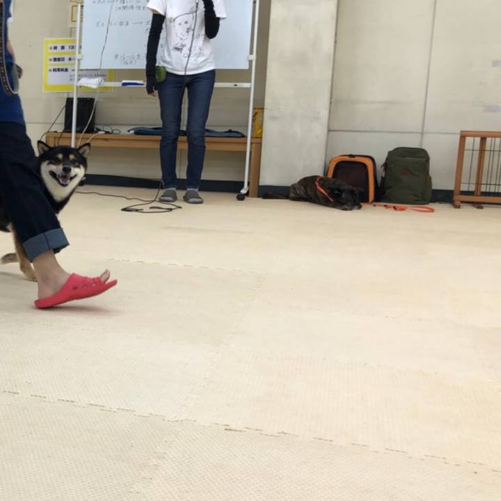 180232dd 561a 4c79 aad3 48a50d6929fa 1564314247922