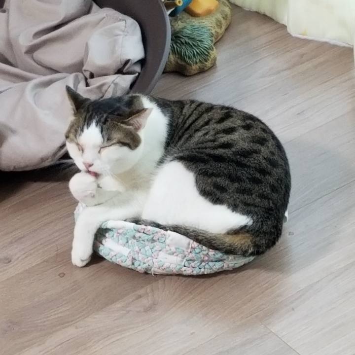 18023c90 31eb 41ef 895c 4fc15e7e4daf 1623188220855