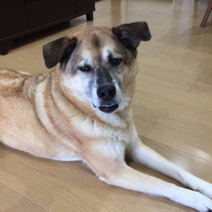 18024d00 c581 40ee 8e7a 920982c6cefd 1566427623387