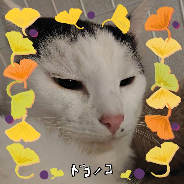 18027125 4ee6 4881 b040 bf4047da7a7a 1729553561959