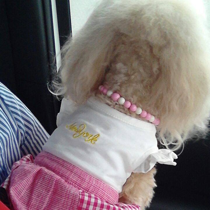 18027b25 c2ef 4e5e bbc1 535967dde820 1561290432985