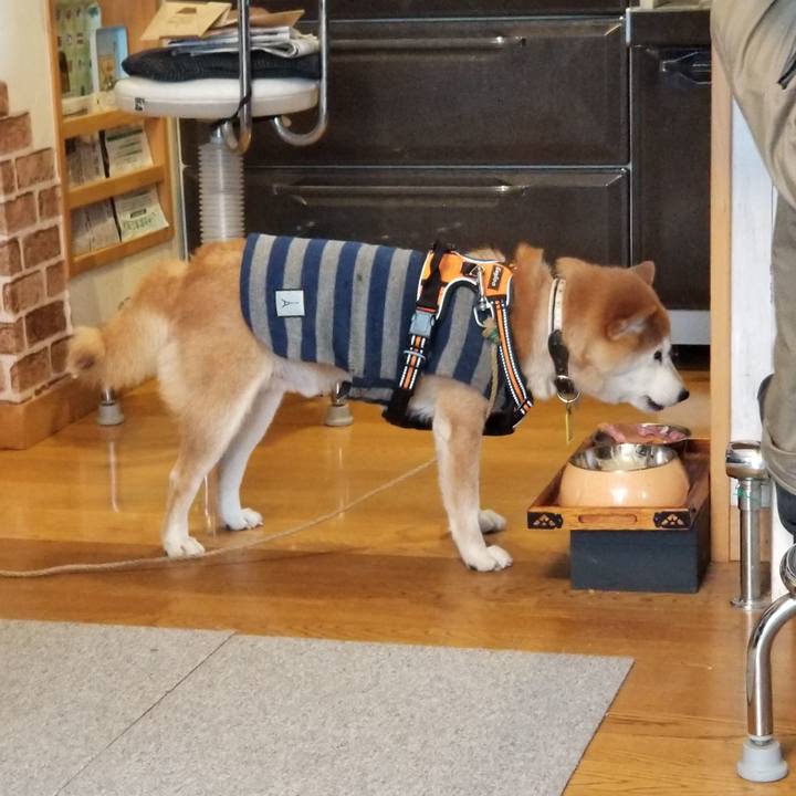 1802b365 a22c 454d a369 791a6cdd0bc5 1612846970525